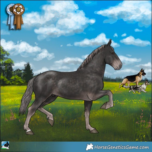 Horse Color:Platinum Liver Chestnut Rabicano 