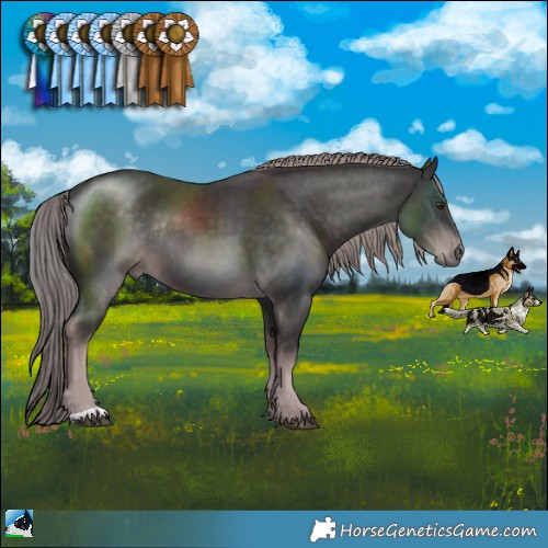 Horse Color:Platinum Liver Chestnut Rabicano 