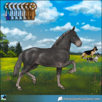 Horse Color:Platinum Liver Chestnut Rabicano