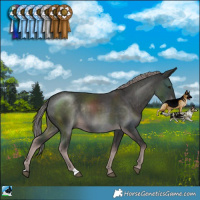 Horse Color:Platinum Liver Chestnut Rabicano 
