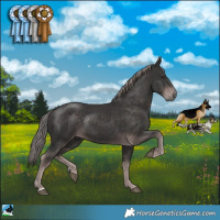 Horse Color:Platinum Liver Chestnut Rabicano 