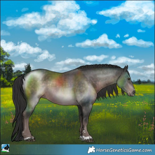 Horse Color:Platinum Liver Chestnut