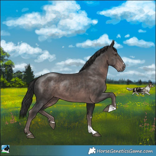 Horse Color:Platinum Liver Chestnut 