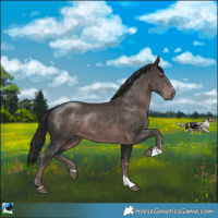 Horse Color:Platinum Liver Chestnut