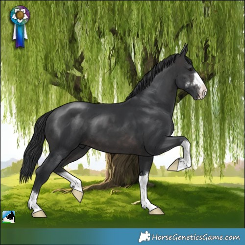 Horse Color:Platinum Brown 