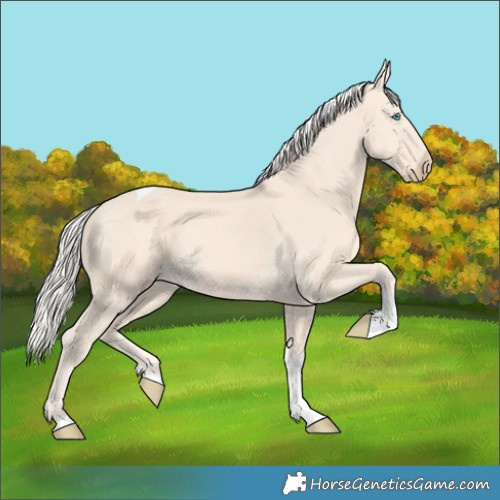 Horse Color:Cremello Tobiano 