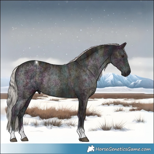 Horse Color:Midnight Silver Brown Ice Dun Tobiano 