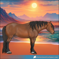 Horse Color:Bay 