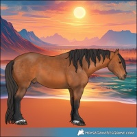 Horse Color:Bay 