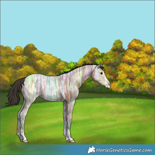 Horse Color:Bay Ice 