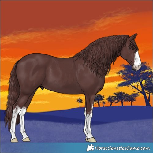 Horse Color:White Spotted Chocolate Smoky Black 
