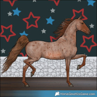 Horse Color:Red Roan