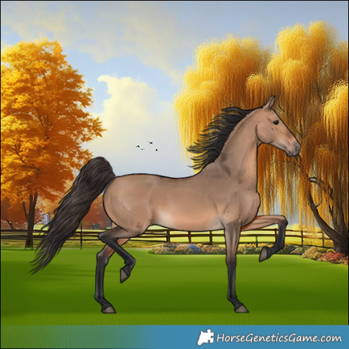 Horse Color:Bay Dun