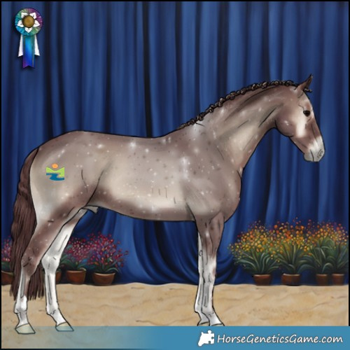Horse Color:Chocolate Blue Onyx 