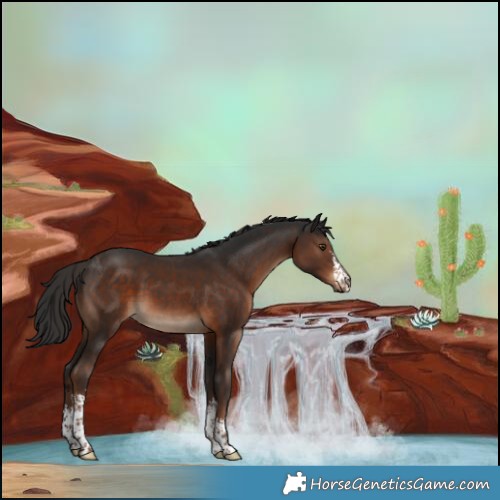 Horse Color:White Spotted Liver Chestnut 