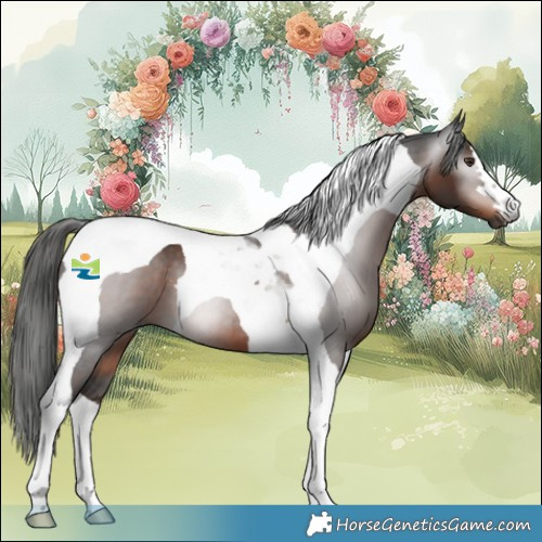 Horse Color:Gray Liver Chestnut Tobiano 