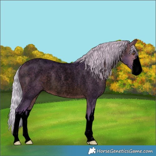 Horse Color:Void Watercolor White Spotted Silver Brown Roan Rabicano 