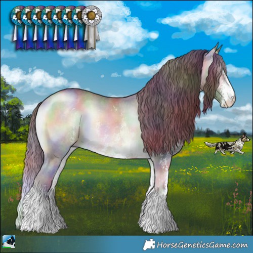 Horse Color:Nacre Chocolate Brown Chinchilla Onyx Sabino 