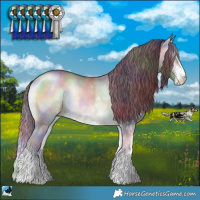 Horse Color:Nacre Chocolate Brown Chinchilla Onyx Sabino