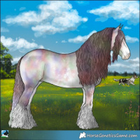 Horse Color:Nacre Chocolate Brown Chinchilla Onyx Sabino 