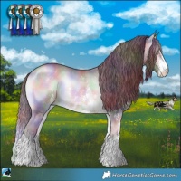 Horse Color:Nacre Chocolate Brown Chinchilla Onyx Sabino 