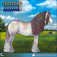 Horse Color:Nacre Chocolate Brown Chinchilla Onyx Sabino 
