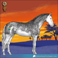 Horse Color:Silver Smoky Black Chinchilla Sabino Splash
