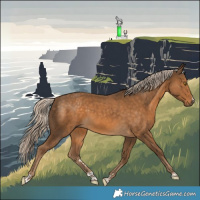 Horse Color:Chocolate Palomino 