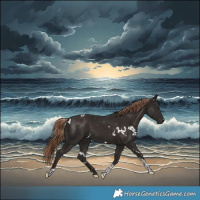 Horse Color:White Spotted Liver Chestnut Tobiano 