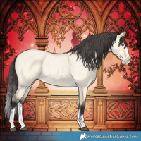 Horse Color:Buckskin Roan Dun Splash 