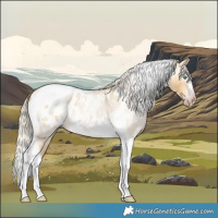 Horse Color:Gray Silver Amber Cream Champagne Roan Dun Splash Tobiano Frame Appaloosa Rabicano 