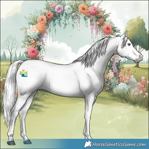 Horse Color:White Spotted Liver Red Dun Chinchilla Ice Tobiano 