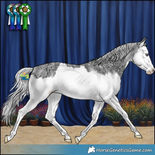 Horse Color:Silver Brown Chinchilla Ice Pearl Sabino Splash 