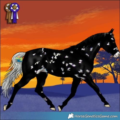 Horse Color:Watercolor Silver Buckskin Ice Sabino 