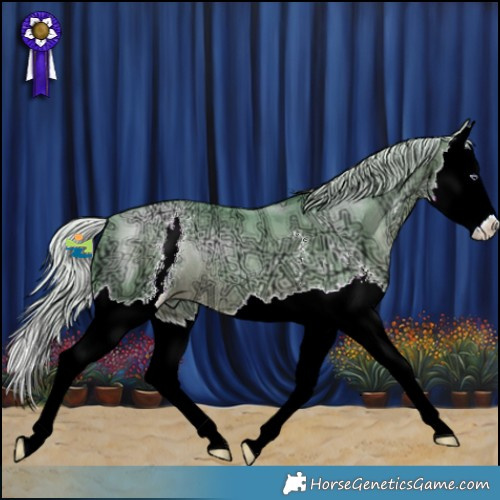 Horse Color:Watercolor Silver Brown Chinchilla Ice Pearl Sabino Splash 