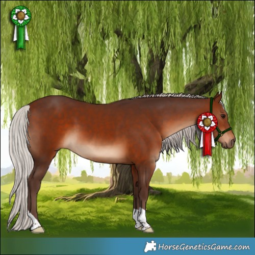 Horse Color:Silver Brown 