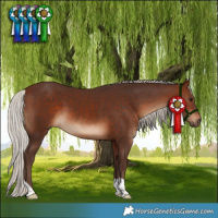 Horse Color:Silver Brown 