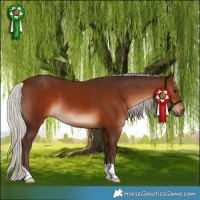 Horse Color:Silver Brown