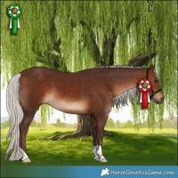 Horse Color:Silver Brown