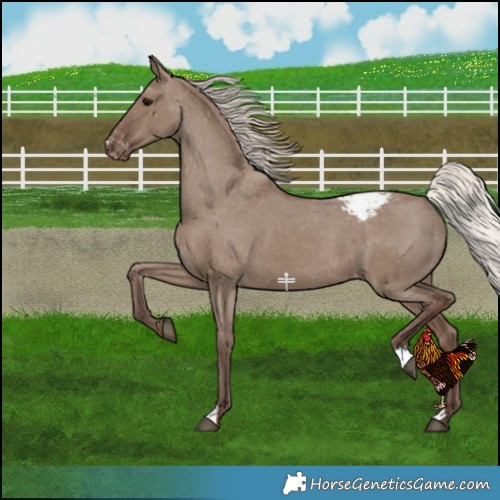 Horse Color:Silver Grullo Snowcap 