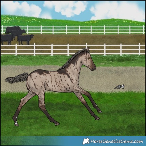 Horse Color:Liver Red Dun Mushroom Brindle 