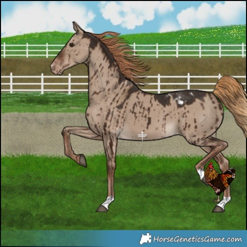 Horse Color:Liver Red Dun Varnish Brindle 