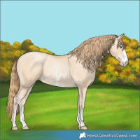 Horse Color:Smoky Black Pearl Sabino