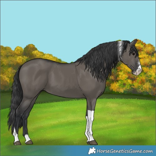 Horse Color:Grullo Sabino Tobiano