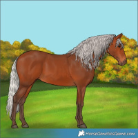 Horse Color:Silver Bay 
