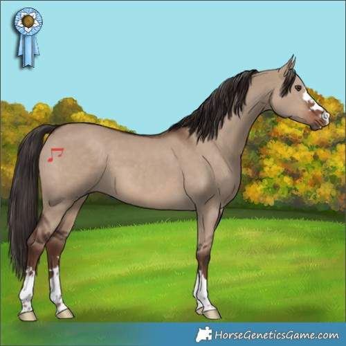 Horse Color:Liver Red Dun 