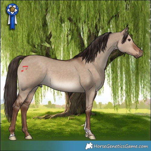 Horse Color:Liver Red Dun Tobiano 