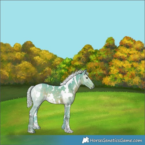 Horse Color:Watercolor White Spotted Silver Black 