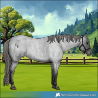 Horse Color:Blue Roan Varnish 