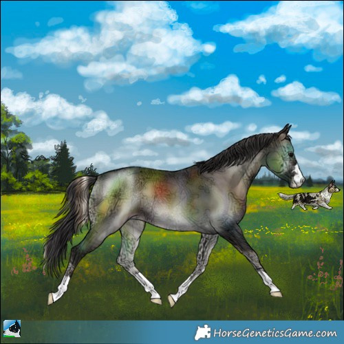 Horse Color:Smoky Blue Onyx Ice 